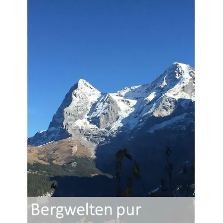 Panorama Appartement Mürren