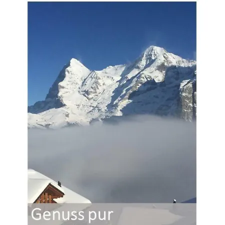 Panorama *